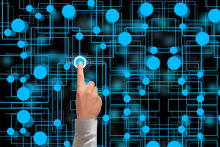 开云体育官网登入-冬奥会遗产利用与社会价值实现研究，冬奥会遗产战略计划