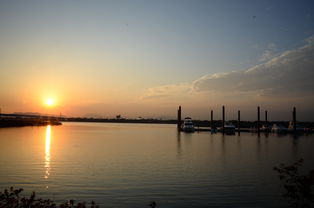 开云体育官网在线-千帆竞发，轻艇马拉松点亮湖滨赛场，赛艇马拉松多少公里